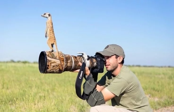 fotografieren lernen zoom