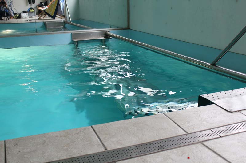 unterwasser-shooting-pool