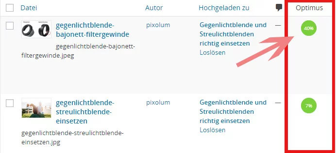 bildoptimierung wordpress optimus