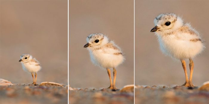 Brennweite und Brennpunkt in der Digitalfotografie verstehen