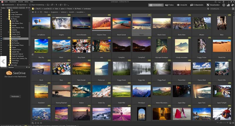 adobe bridge bilder verwalten