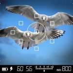 autofokus-punkte verstehen fotografieren