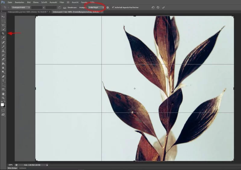 Photoshop Drittelregel Funktion anwenden