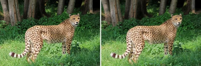 Freihandgrenze Bewegung vs Verwacklung