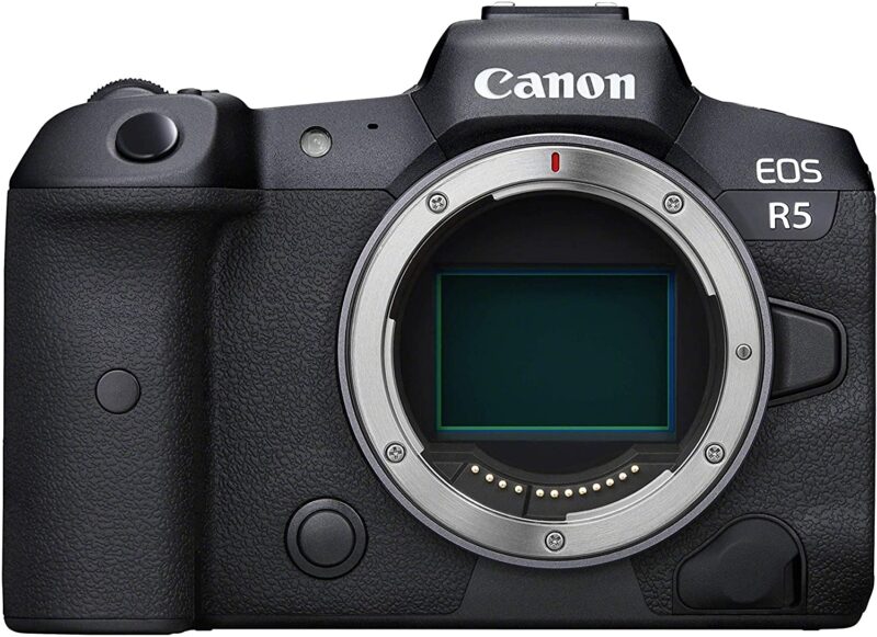 Vergleich und Test spiegellose System-Kameras Canon R5