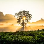 sonnenaufgang fotografieren morgendämmerung