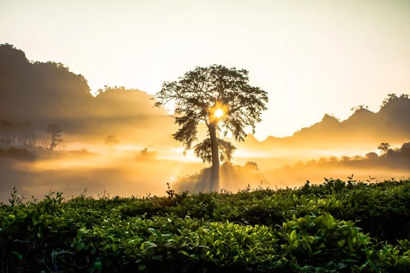 sonnenaufgang fotografieren morgendämmerung