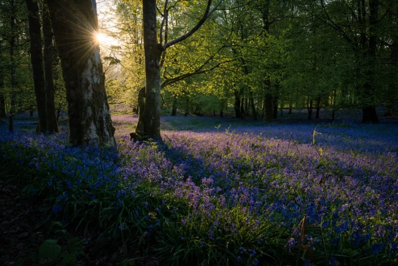 sonnenaufgang fotografieren starburst