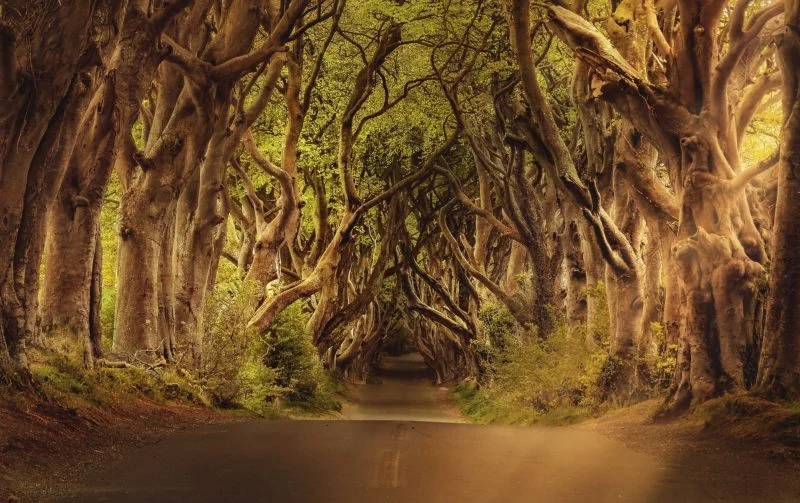 Doppelbelichtung | 5 Schritte-Anleitung zum mystischen Foto 4 Abstraktes Landschaftsbild