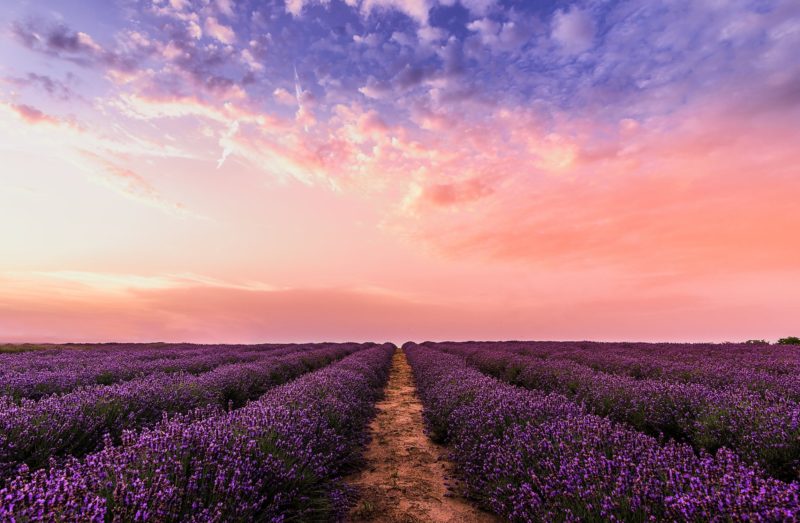 Offenes Feld Sonnenuntergang Fotografie-Tipp: einfache Farben