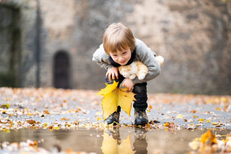 Kinderfotografie von einem Jungen an einer Pfütze mit Kuscheltier und Herbstblatt in der Hand