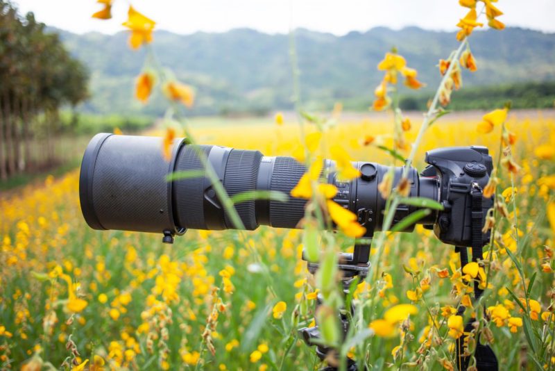 Fotografen-Ausrüstung Kamera mit grossem Objektiv