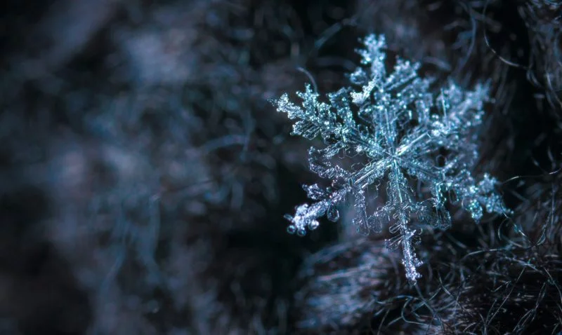 Makroobjektiv Erklärung ᐅ Tipps zum Kauf und Anwendung 8 makroobjektiv schneeflocke