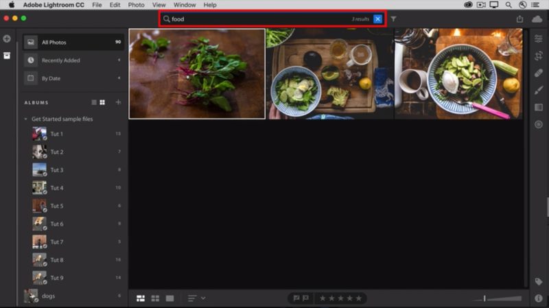 Luminar vs Lightroom Dateiverwaltung Lightroom