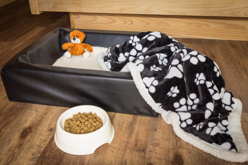 foto eines hundebetts mit decke und fressnapf auf dem boden