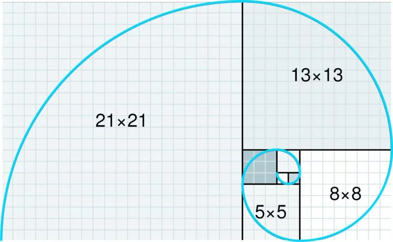 fibonacci Spirale Vorlage