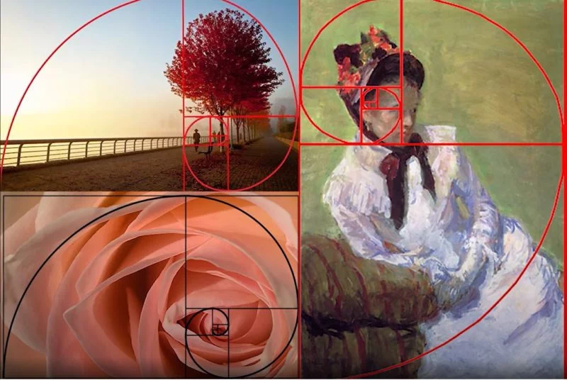 fibonacci foldener schnitt fotografie