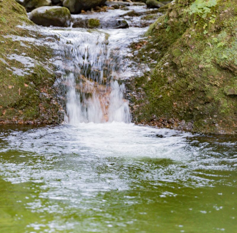 fliessendes wasser im bach fotografiert