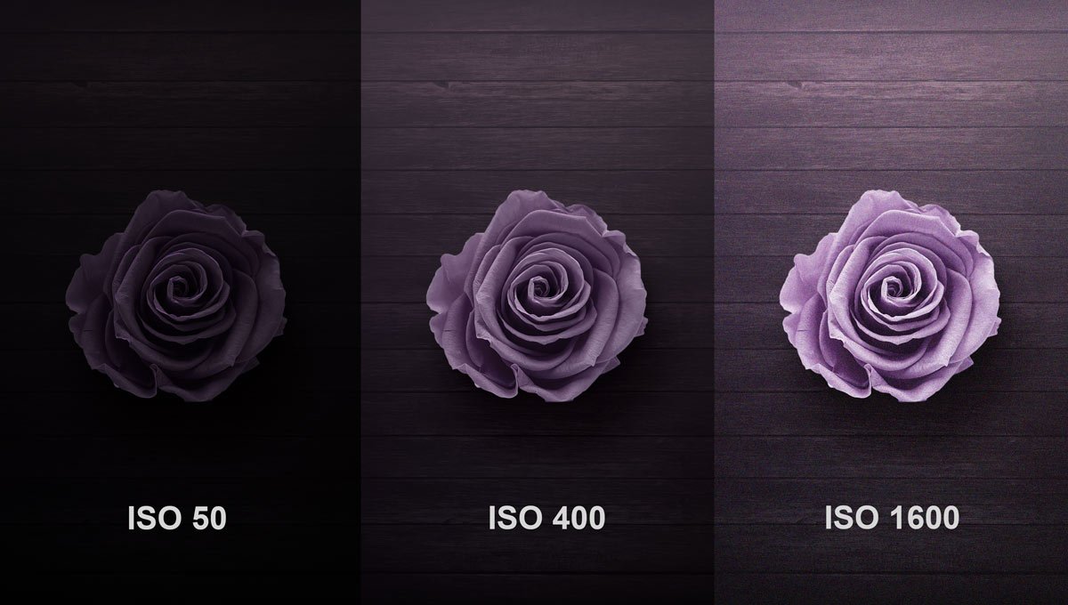 ISO Wert in der Fotografie
