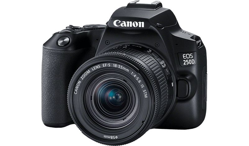 beste spiegelreflexkamera Canon EOS 250D