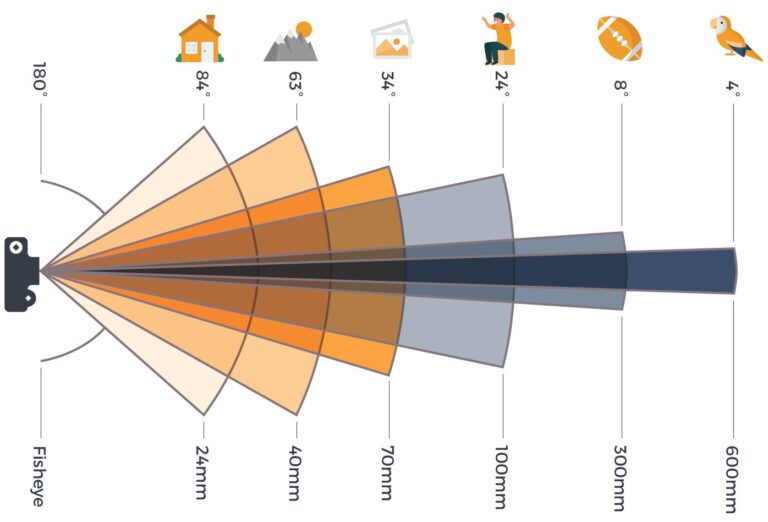 Brennweitenvergleich ᐅ Praxisbeispiel anhand der Vogelfotografie