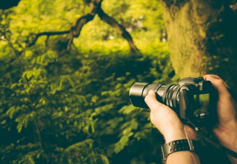 Fotograf im Wald