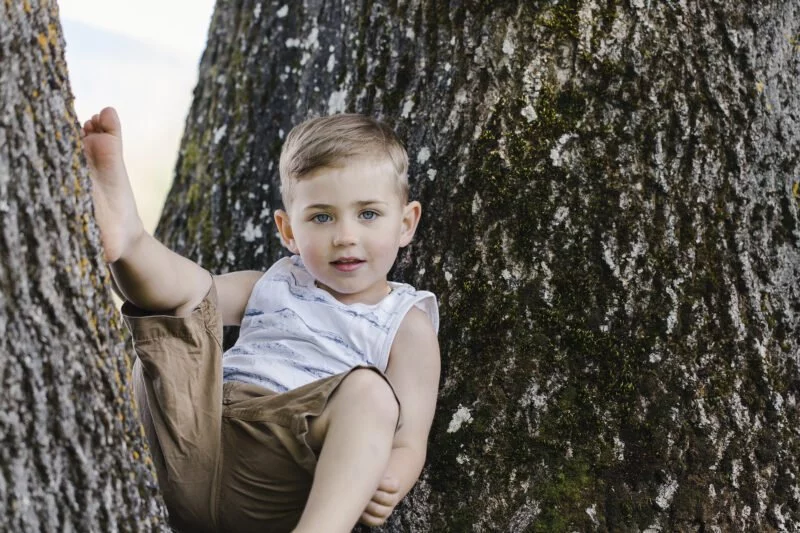 kleiner junge sitzt im baum auf einem ast