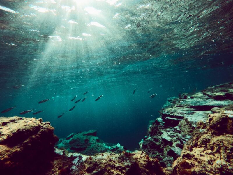 knifflige fotomotive Unterwasser Fotografie