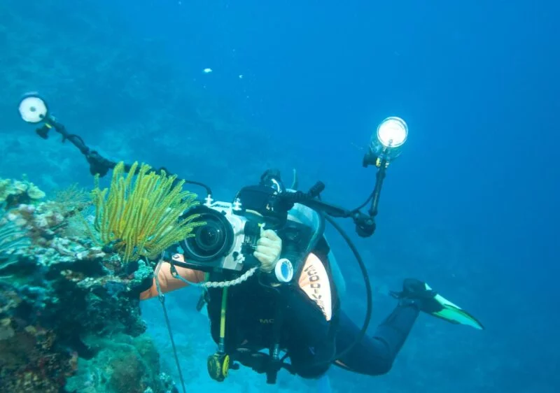 Die kniffligsten Foto-Situationen und wie man damit umgeht 10 knifflige fotomotive unter wasser fotografieren