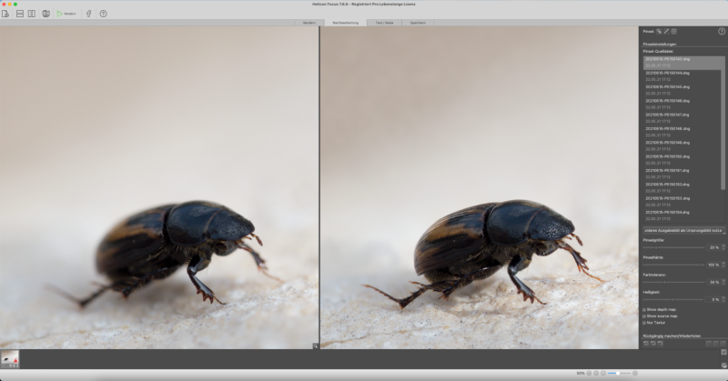 Fokus-Stacking / Fokus-Bracketing Anleitung (Makrofotografie) 7 Makrofoto Bearbeitung Vergleich
