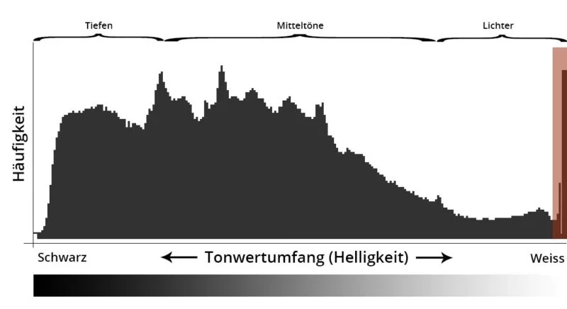 ETTR: Das Histogramm ist wichtig für die richtige Belichtigung