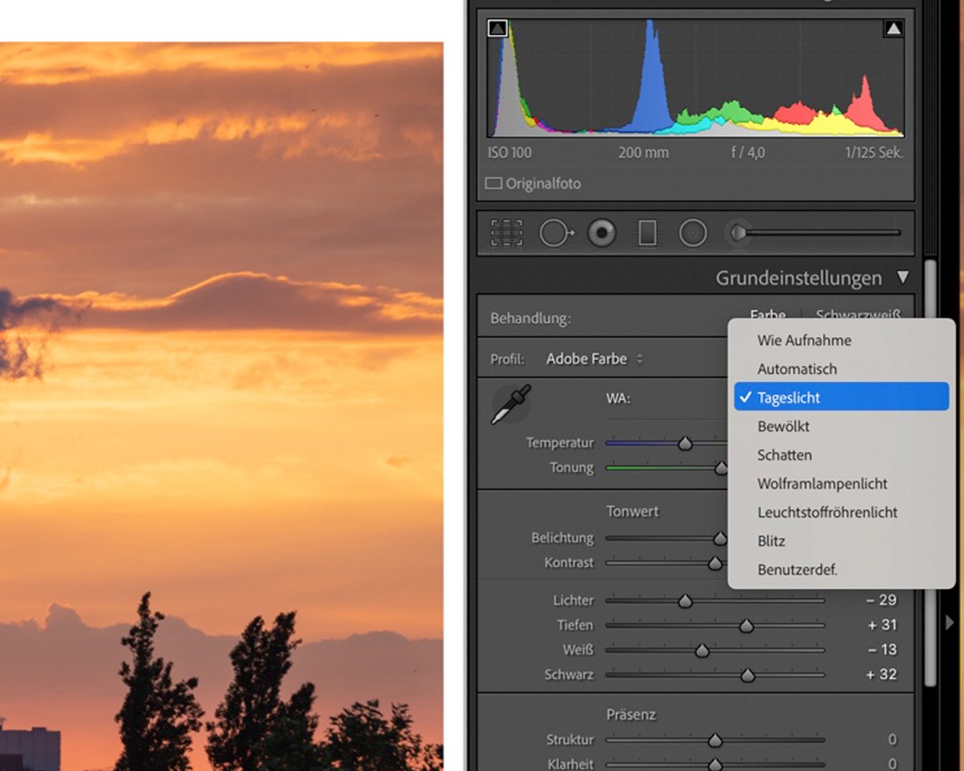 Weissabgleich in Lightroom: die Presets.