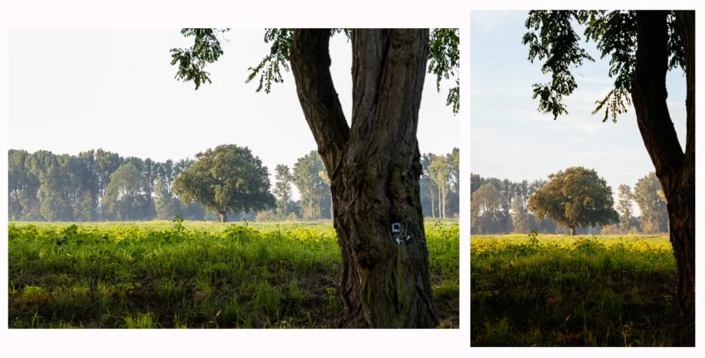 Hochformat vs. Querformat ᐅ Welches Format für welches Bild? 1 Hochformat oder Querformat? So wählst du das richtige Format für dein Foto.