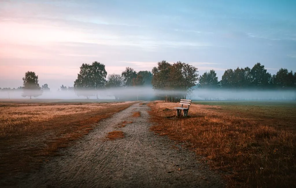 Nebelfotos wie dieses aus der Lüneburger Heide bringen besonders schöne Stimmungen