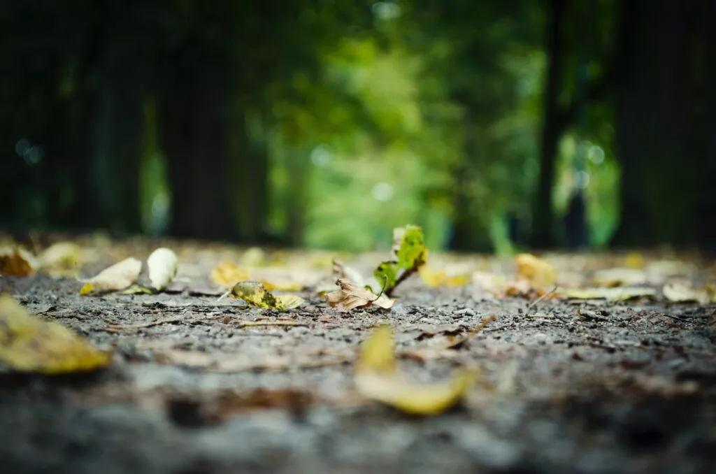 besserer fotograf werden perspektive