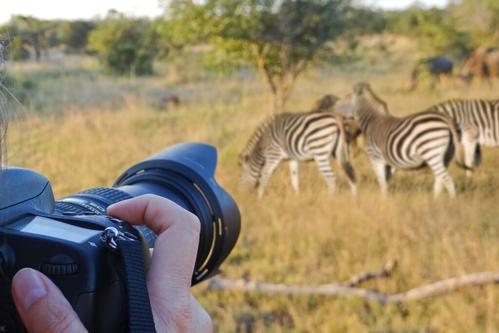 Fotosafari Tipps und Anleitung