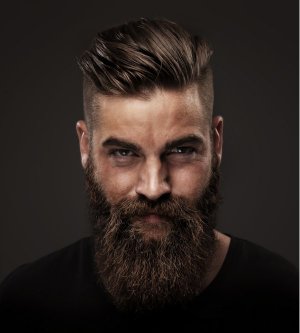 Model Lorenzo H