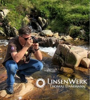 Fotograf LinsenWerk