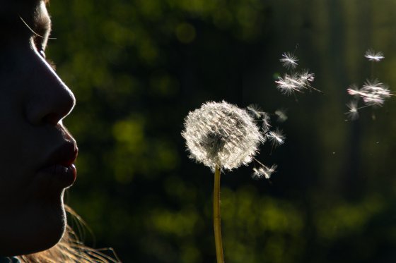 fotograf karlsruhe deutschland maren riemann | pixolum