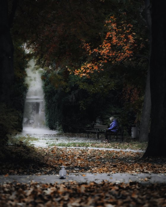 fotograf nuernberg deutschland augenblick photoart | pixolum