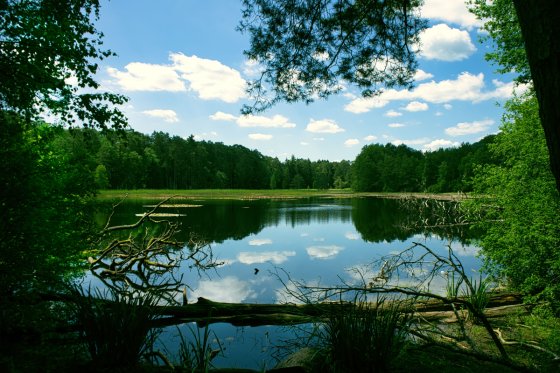 fotograf neunkirchen deutschland adventure photography saar by daniel schmidt | pixolum