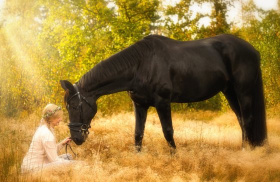 fotograf beckedorf deutschland christoph marek | pixolum