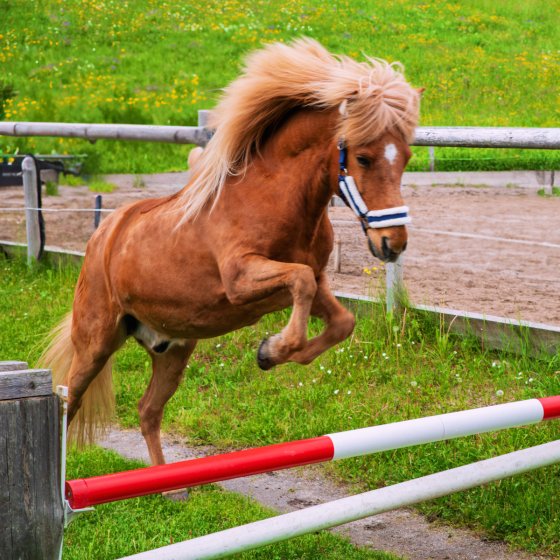 fotograf hohenems oesterreich foto_mitterhofer | pixolum